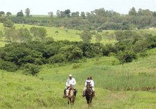 Brazil-Rio/Sao Paulo-Plantation Ride